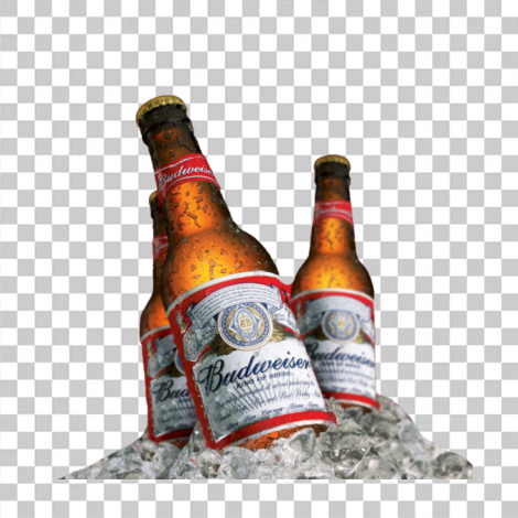 Cerveja Budweiser com gelo transparente png